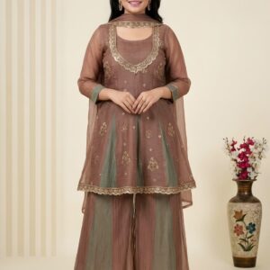 Elegant Party Wear Women Suit