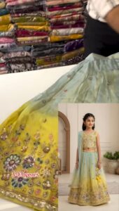 Beautiful Lehenga for Girls